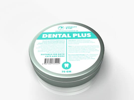 70g_Dental_Plus_540x
