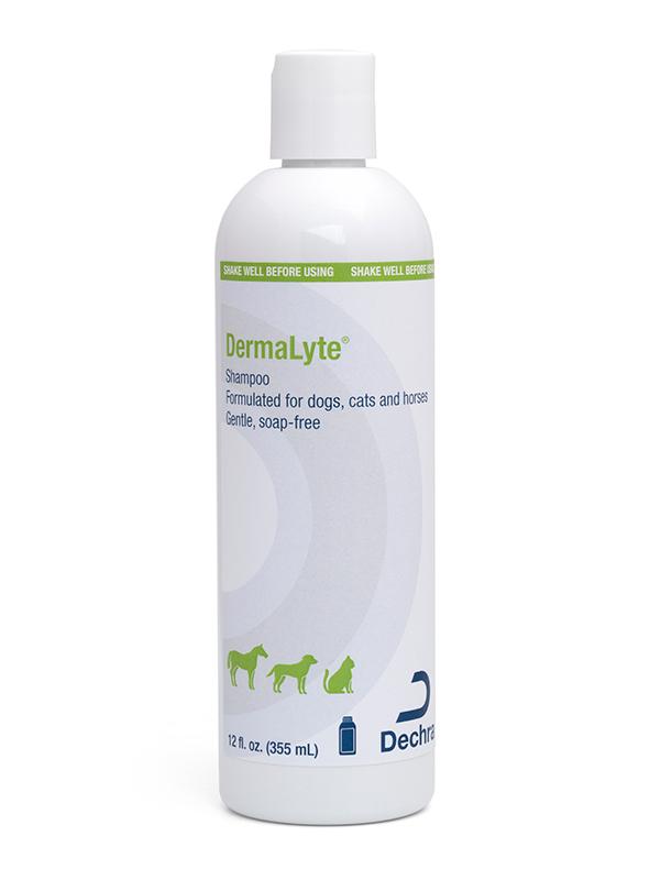 Dechra® DermaLyte® Shampoo (12 fl oz / 355ml)