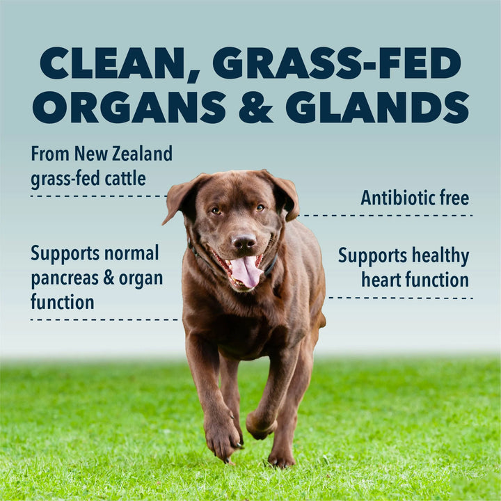 Four Leaf Rover GUTS & GLORY - Grass-fed Organs For Dogs (42g)