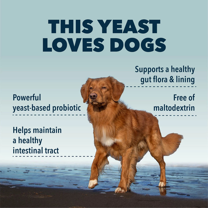 Four Leaf Rover Saccharomyces Boulardii - Yeast-Based Probiotics For Dogs (46.7g)