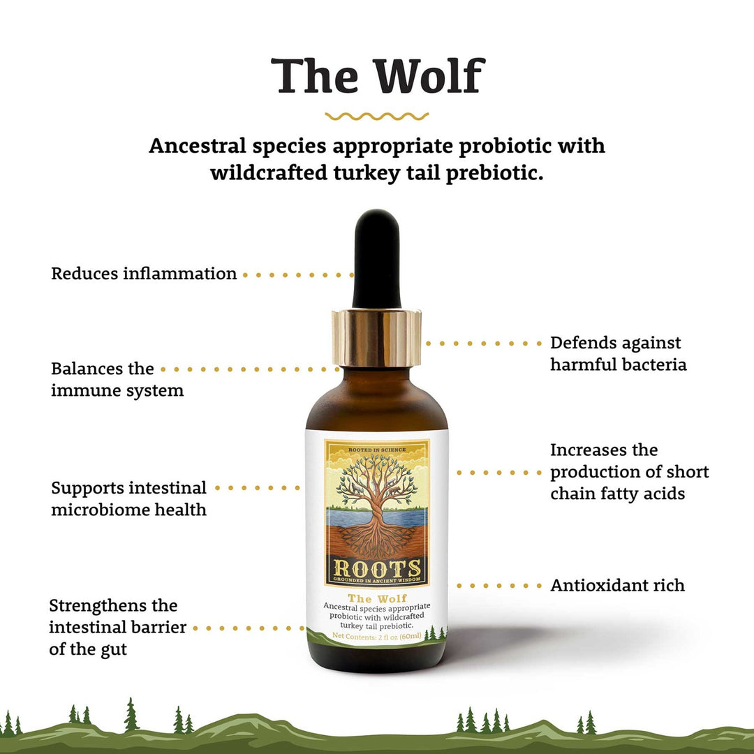 Adored Beast ROOTS - The Wolf (60ml) - Ancestral Probiotic & Turkey Tail Mushrooms Prebiotics