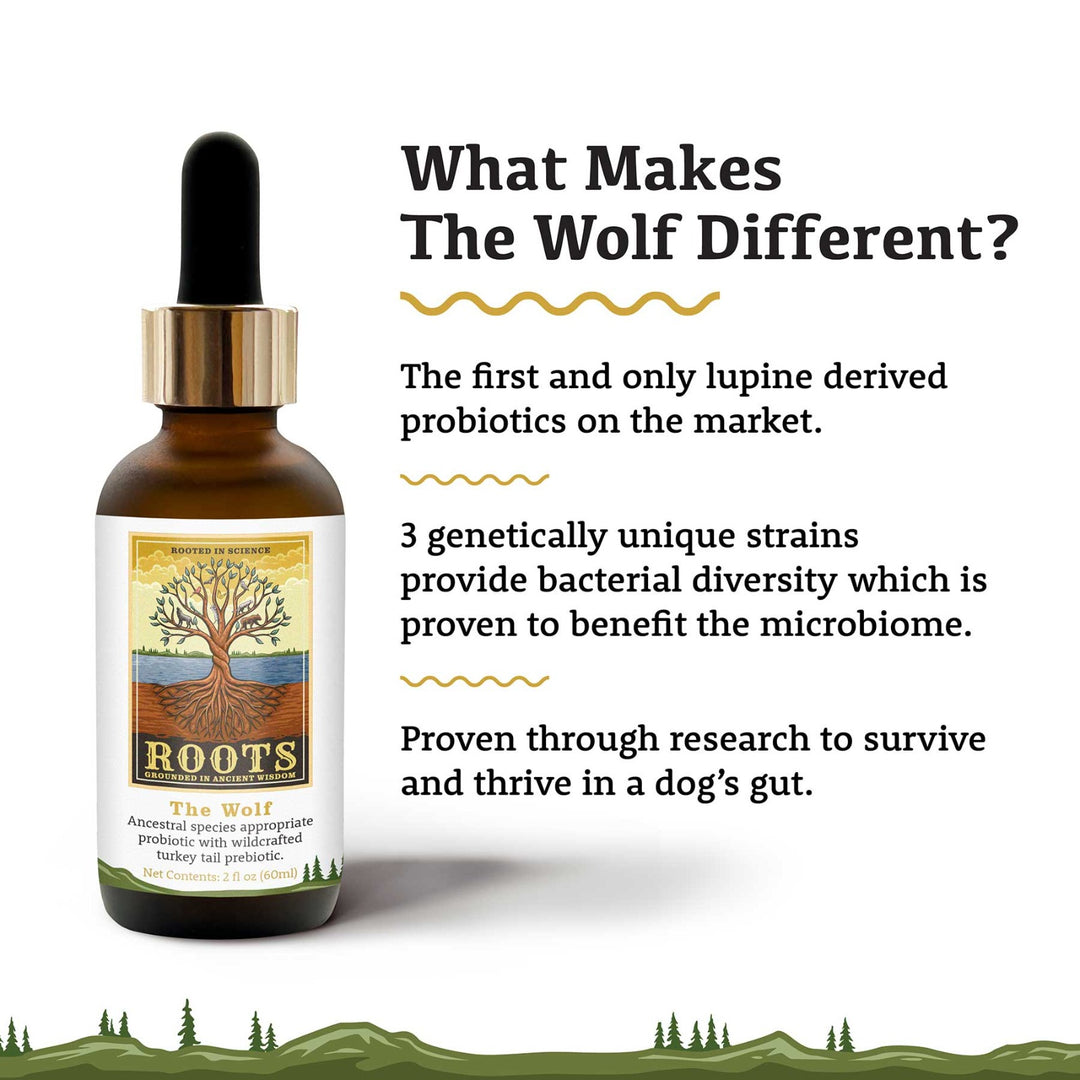 Adored Beast ROOTS - The Wolf (60ml) - Ancestral Probiotic & Turkey Tail Mushrooms Prebiotics