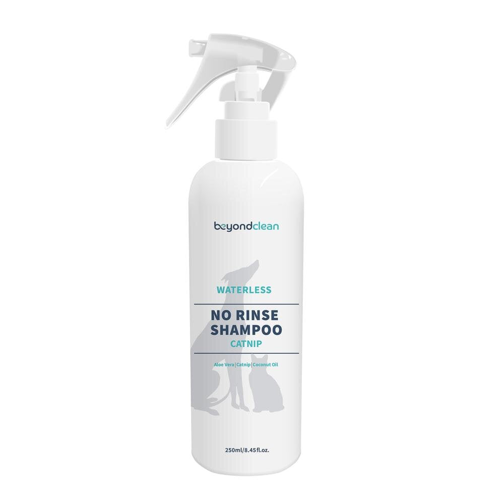 Beyond Clean Waterless No Rinse Shampoo - 250ml (Spray)