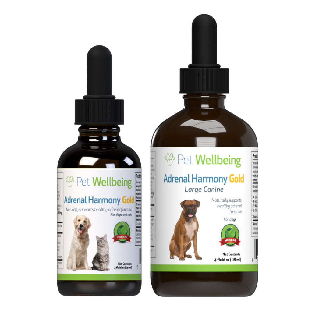 Pet Wellbeing - Adrenal Harmony Gold - for Dog Cushing's