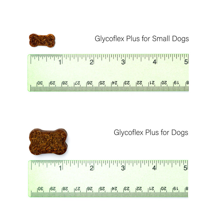 VetriScience® - GlycoFlex® Plus Hip & Joint Supplement for Dogs (60 chews)