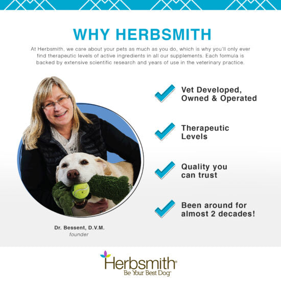 Herbsmith Sound Dog Viscosity - Advanced Joint Support for Dogs