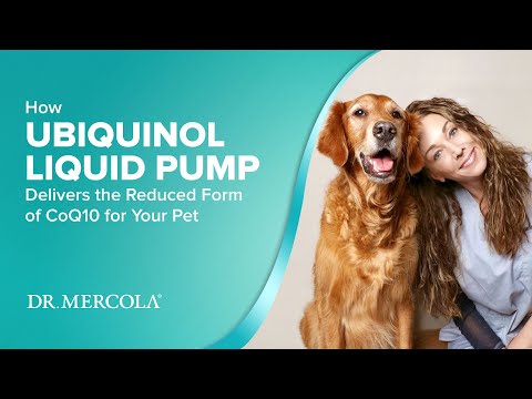 Dr. Mercola | Bark & Whiskers™ Ubiquinol Liquid Pump for Cats & Dogs (43ml)