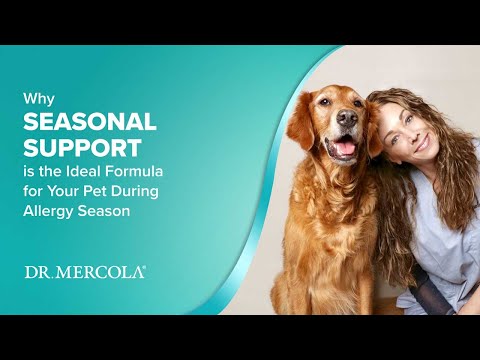 Dr. Mercola Seasonal Support for Cats & Dogs (90g)