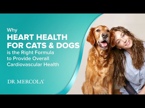 Dr. Mercola Heart Health for Cats & Dogs (90g)