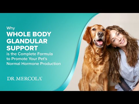 Dr. Mercola | Bark & Whiskers™ Glandular Support for Dogs & Cats - Male (113g)