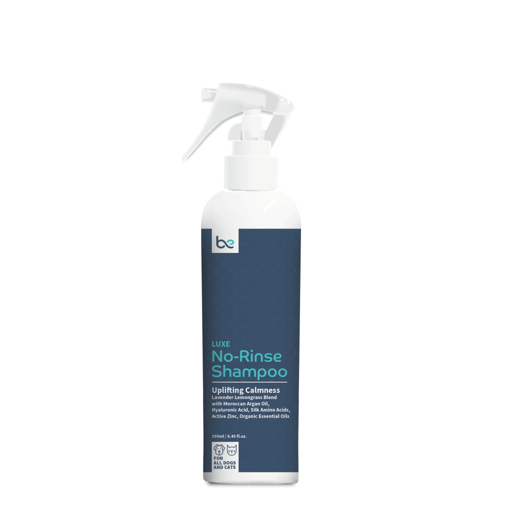[NEW!] Beyond Clean LUXE No-Rinse Shampoo (Spray / Foaming) - Uplifting Calmness