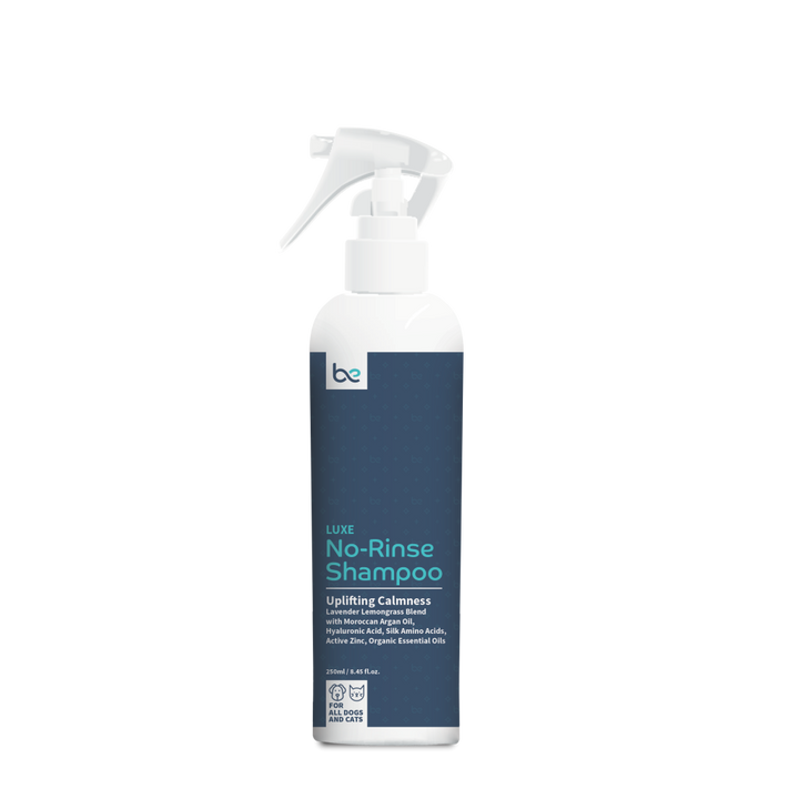 [NEW!] Beyond Clean LUXE No-Rinse Shampoo (Spray / Foaming) - Uplifting Calmness