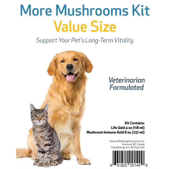 Pet Wellbeing - More Mushrooms Kit - Comprehensive Cancer Care