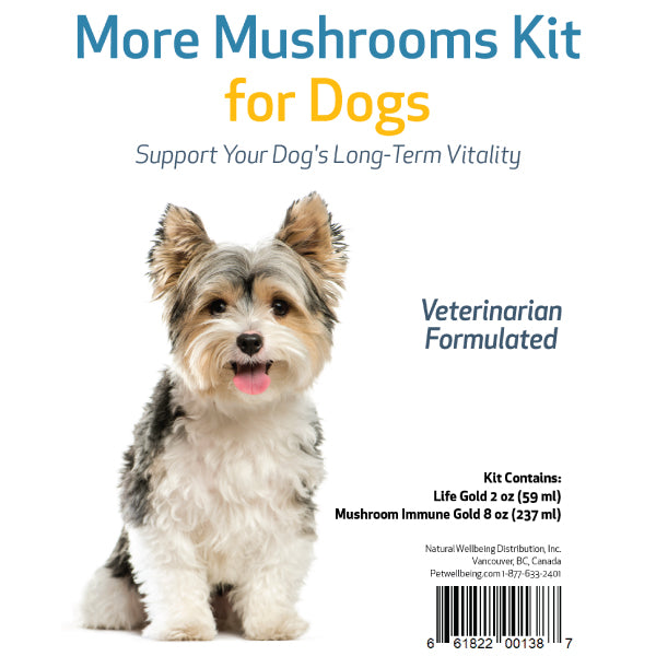 Pet Wellbeing - More Mushrooms Kit - Comprehensive Cancer Care