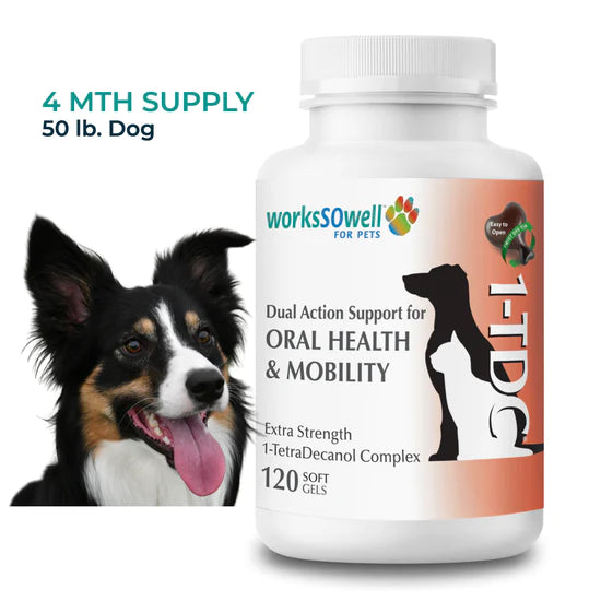 1-TDC Periodontal + Joint + Holistic Health for Dogs & Cats (3 sizes)